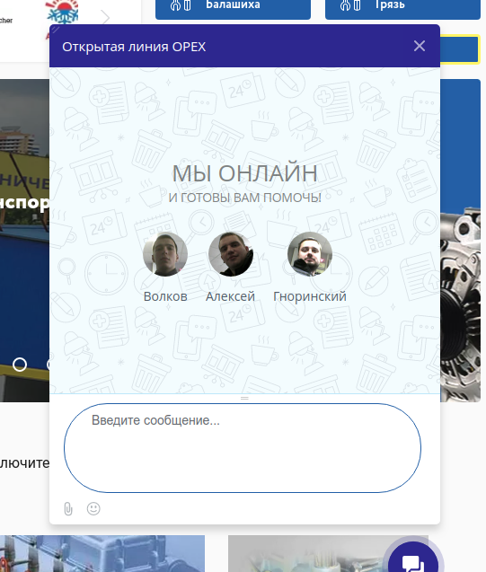 Внешний вид чата на сайте